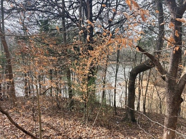 222 Hidden Hallow Cove, Estill Springs, TN 37330