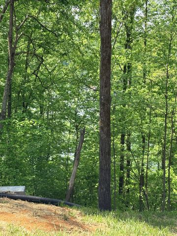222 Hidden Hallow Cove, Estill Springs, TN 37330