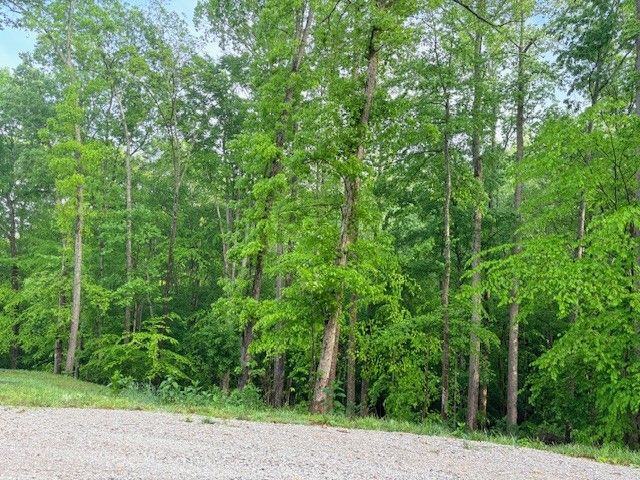 222 Hidden Hallow Cove, Estill Springs, TN 37330