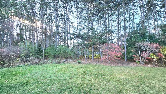 1231 SPRUCE DRIVE, Plover, WI 54467