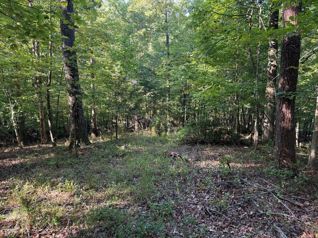 2 Cedar Bluff LN, Hardy, VA 24101