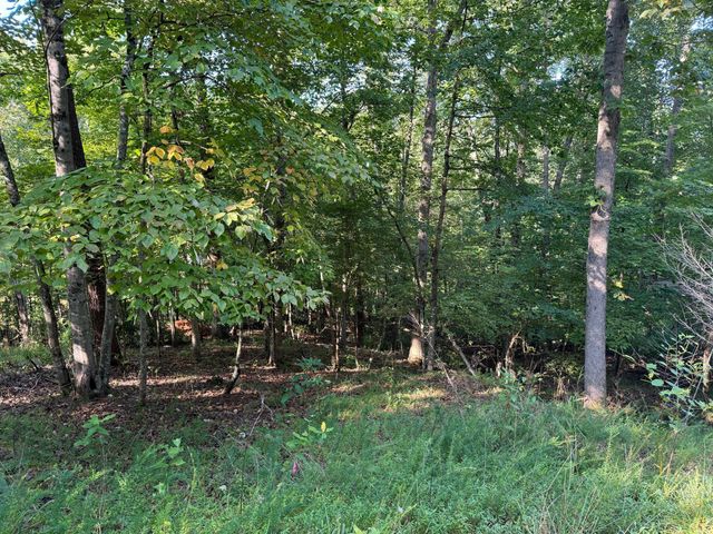2 Cedar Bluff LN, Hardy, VA 24101