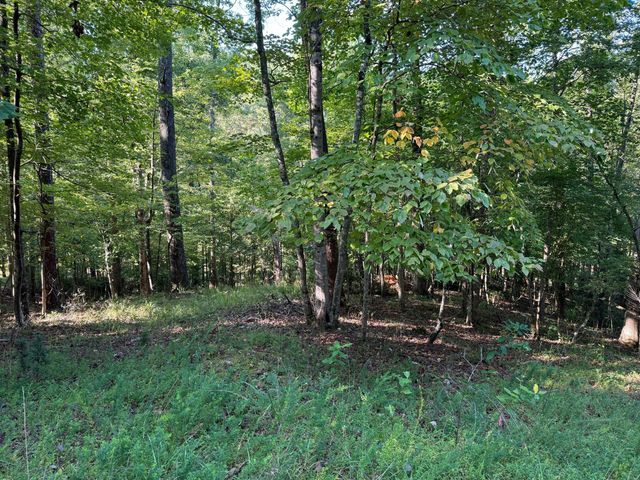 2 Cedar Bluff LN, Hardy, VA 24101