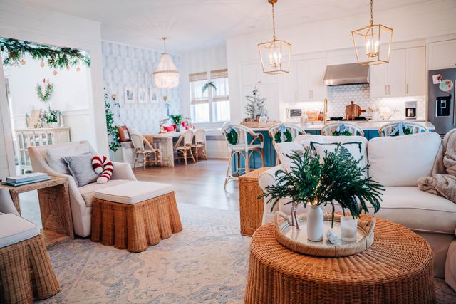 231 Catface Drive, Inlet Beach, FL 32461