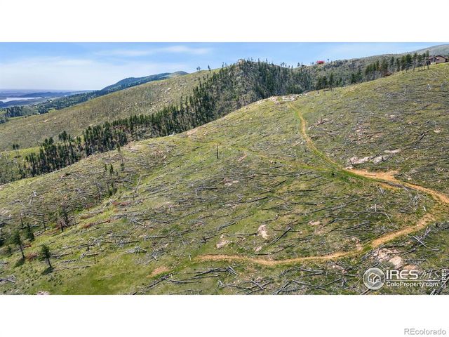 898 Hernia Hill Trail, Bellvue, CO 80512