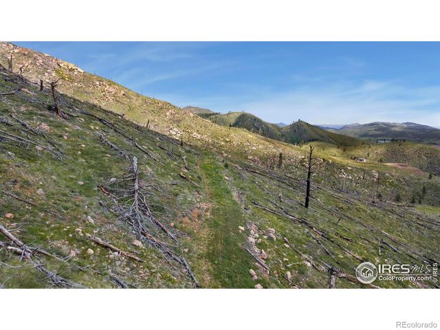 898 Hernia Hill Trail, Bellvue, CO 80512