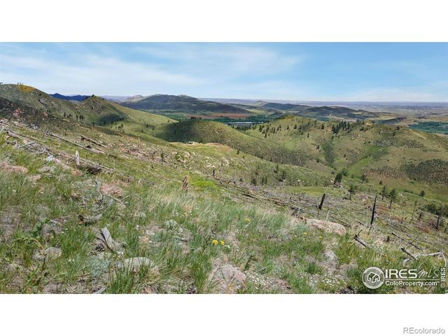 898 Hernia Hill Trail, Bellvue, CO 80512