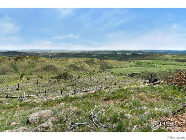 898 Hernia Hill Trail, Bellvue, CO 80512