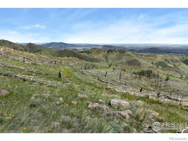898 Hernia Hill Trail, Bellvue, CO 80512
