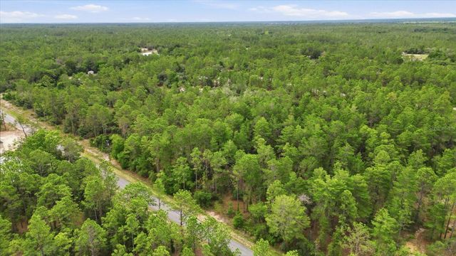 0000 SW BEAVER DRIVE, Dunnellon, FL 34431