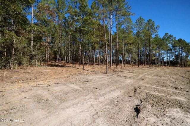 Lot 2 Disalvo Lane, Kiln, MS 39556