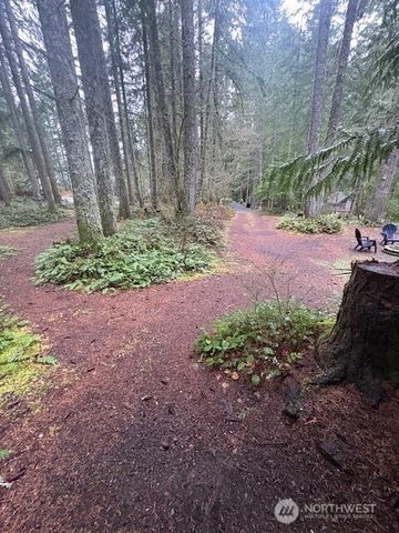 1021 N Potlatch, Hoodsport, WA 98548