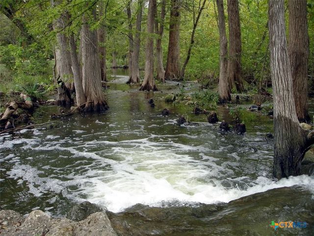 1738 Cave Drive, Spring Branch, TX 78070