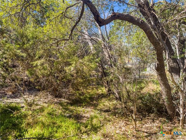 1738 Cave Drive, Spring Branch, TX 78070