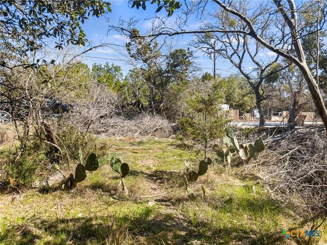 1738 Cave Drive, Spring Branch, TX 78070