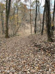 300 Ivy Moore Circle, Decatur, TN 37322