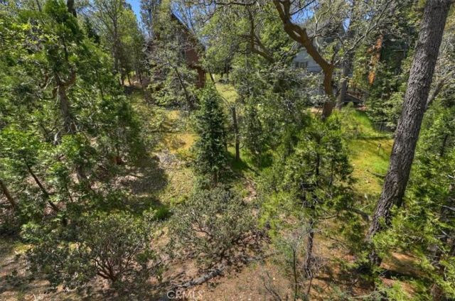 1140 Evergreen Lane, Lake Arrowhead, CA 92352