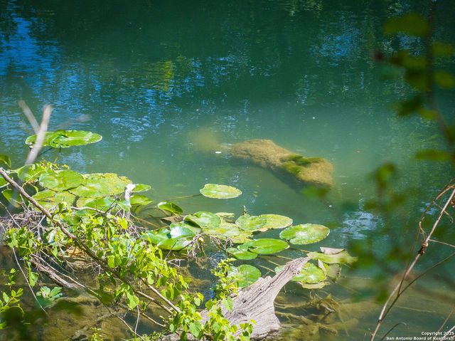 TBD Fm 621, Staples, TX 78655