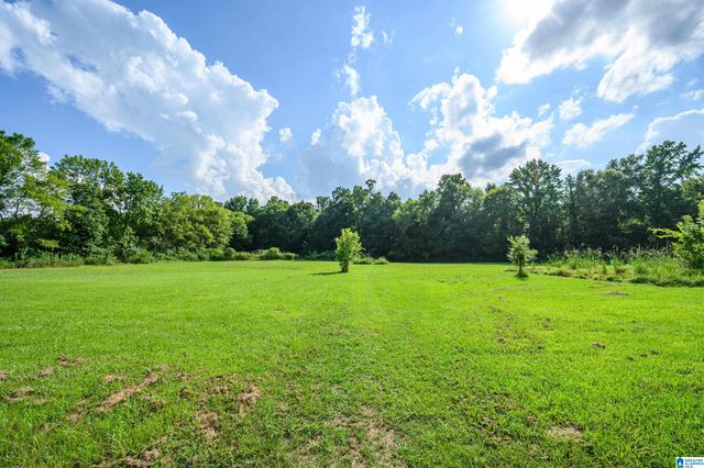 7795 KIMBRELL CUTOFF ROAD, Mccalla, AL 35111