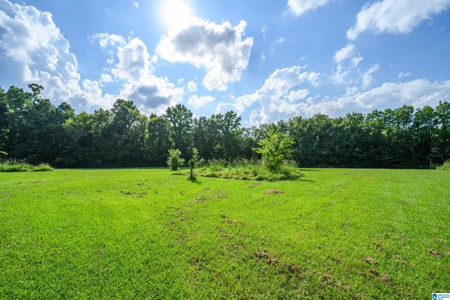 7795 KIMBRELL CUTOFF ROAD, Mccalla, AL 35111