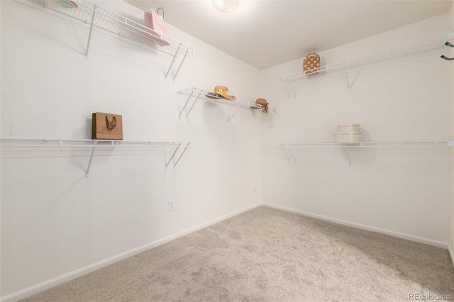 1879 Quartz Street, Castle Rock, CO 80109