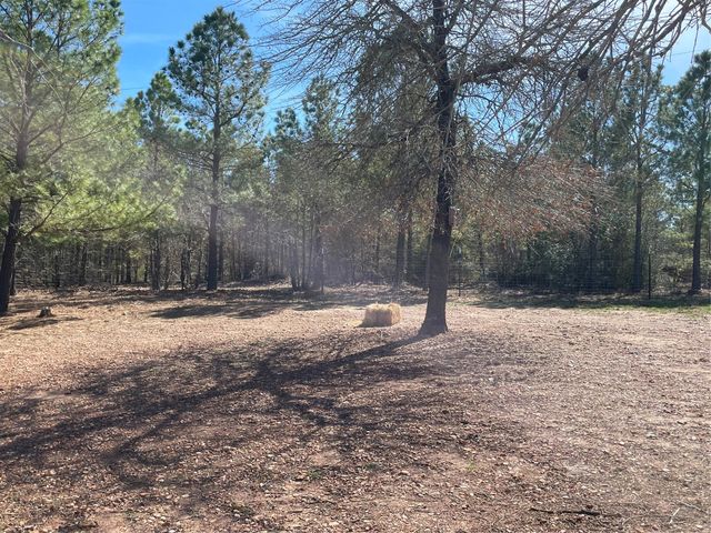 278 Winfield Thicket RD, Bastrop, TX 78602