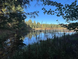 7556 210th Avenue, Lincoln Twp, MI 49677