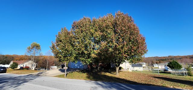 1714 Amy Street, West Plains, MO 65775