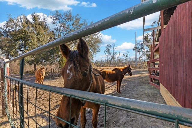 1914 SW JIm Clark Rd, Madison, FL 32340