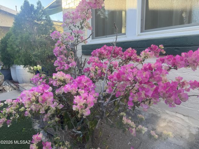 709 E 5th Street, Tucson, AZ 85719