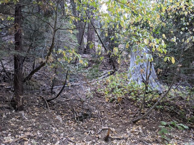 0 Fleming Creek, Lake Arrowhead, CA 92352