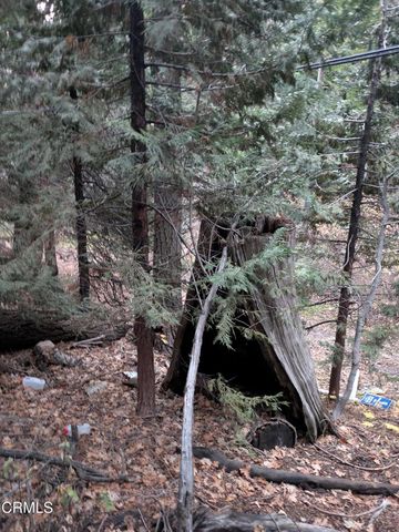 0 Fleming Creek, Lake Arrowhead, CA 92352