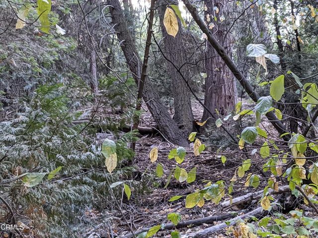 0 Fleming Creek, Lake Arrowhead, CA 92352