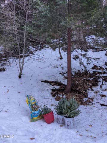 0 Fleming Creek, Lake Arrowhead, CA 92352