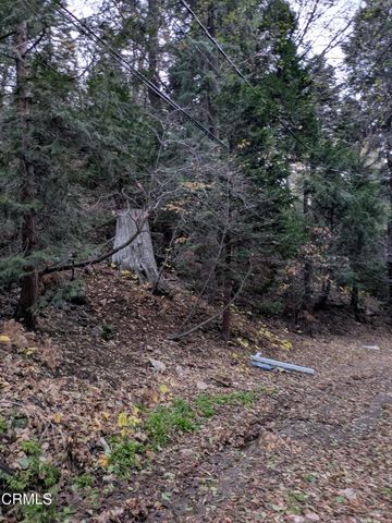 0 Fleming Creek, Lake Arrowhead, CA 92352