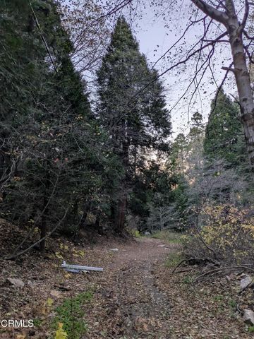 0 Fleming Creek, Lake Arrowhead, CA 92352