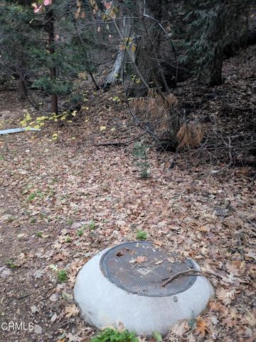 0 Fleming Creek, Lake Arrowhead, CA 92352
