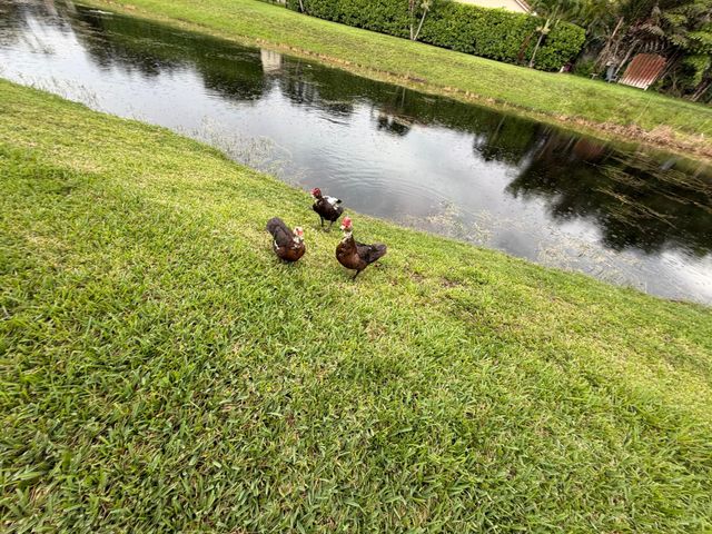 10730 ROYAL PALM Boulevard 4-3, Coral Springs, FL 33065