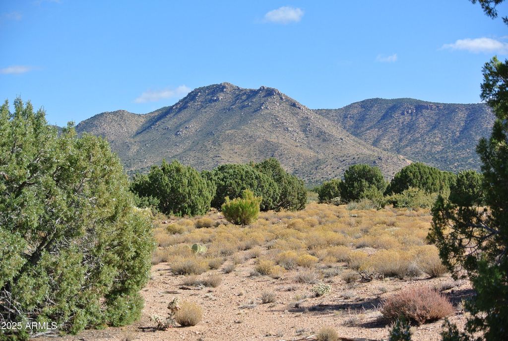 Image 1 of property listing at 0 CR 763 -- -, Kingman, AZ 86401