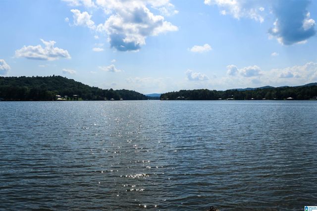 318 BOULDER POINT LANE, Ohatchee, AL 36271