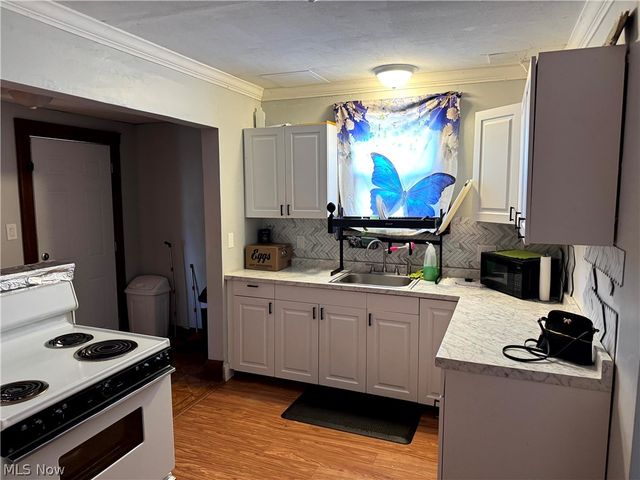 1170 Lily Street, Akron, OH 44301