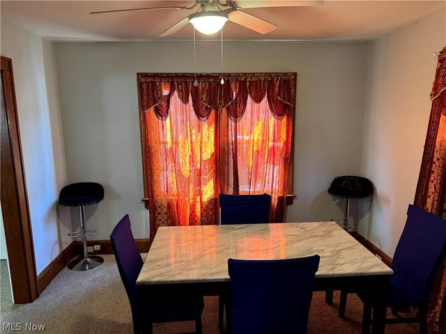 1170 Lily Street, Akron, OH 44301