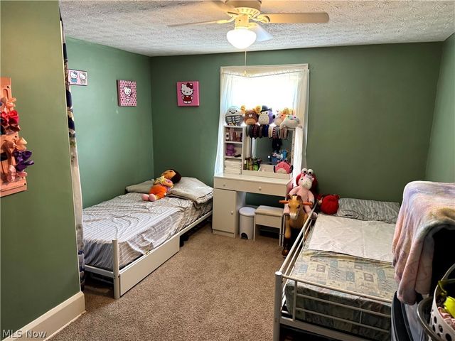 1170 Lily Street, Akron, OH 44301