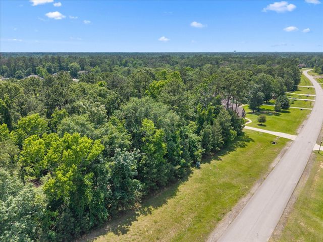 626 N Commons View Drive, Houston, TX 77336