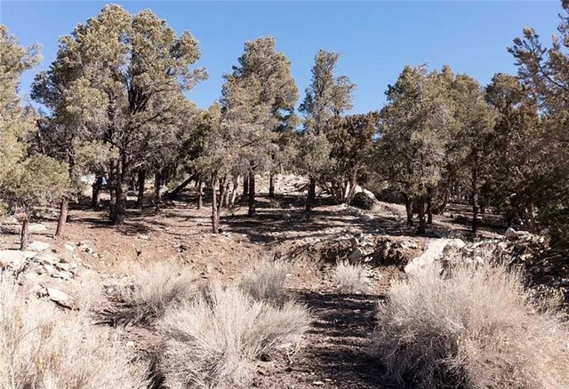 0 Lakeview Drive, Big Bear City, CA 92314