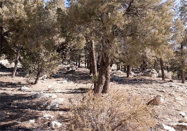 0 Lakeview Drive, Big Bear City, CA 92314