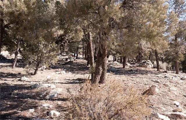 0 Lakeview Drive, Big Bear City, CA 92314