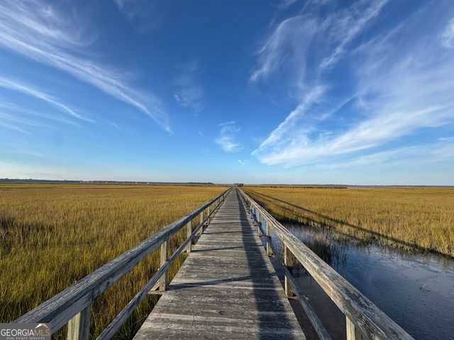 LOT 357 Wood Stork Way, Waverly, GA 31565