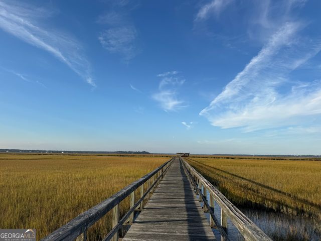 LOT 357 Wood Stork Way, Waverly, GA 31565