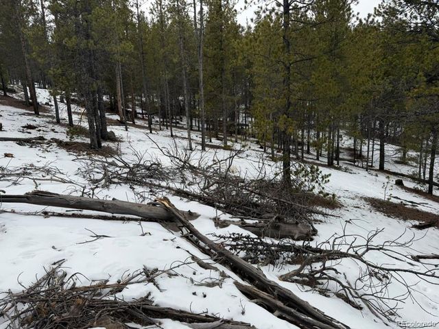 124 Lodgepole Drive, Twin Lakes, CO 81251